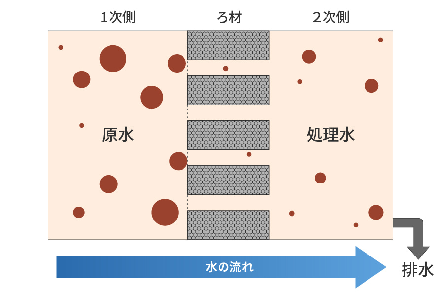 洗浄