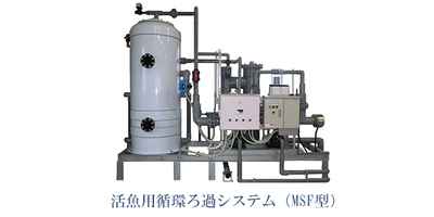 MSFシリーズ画像